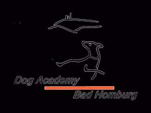 Dog Academy Bad Homburg